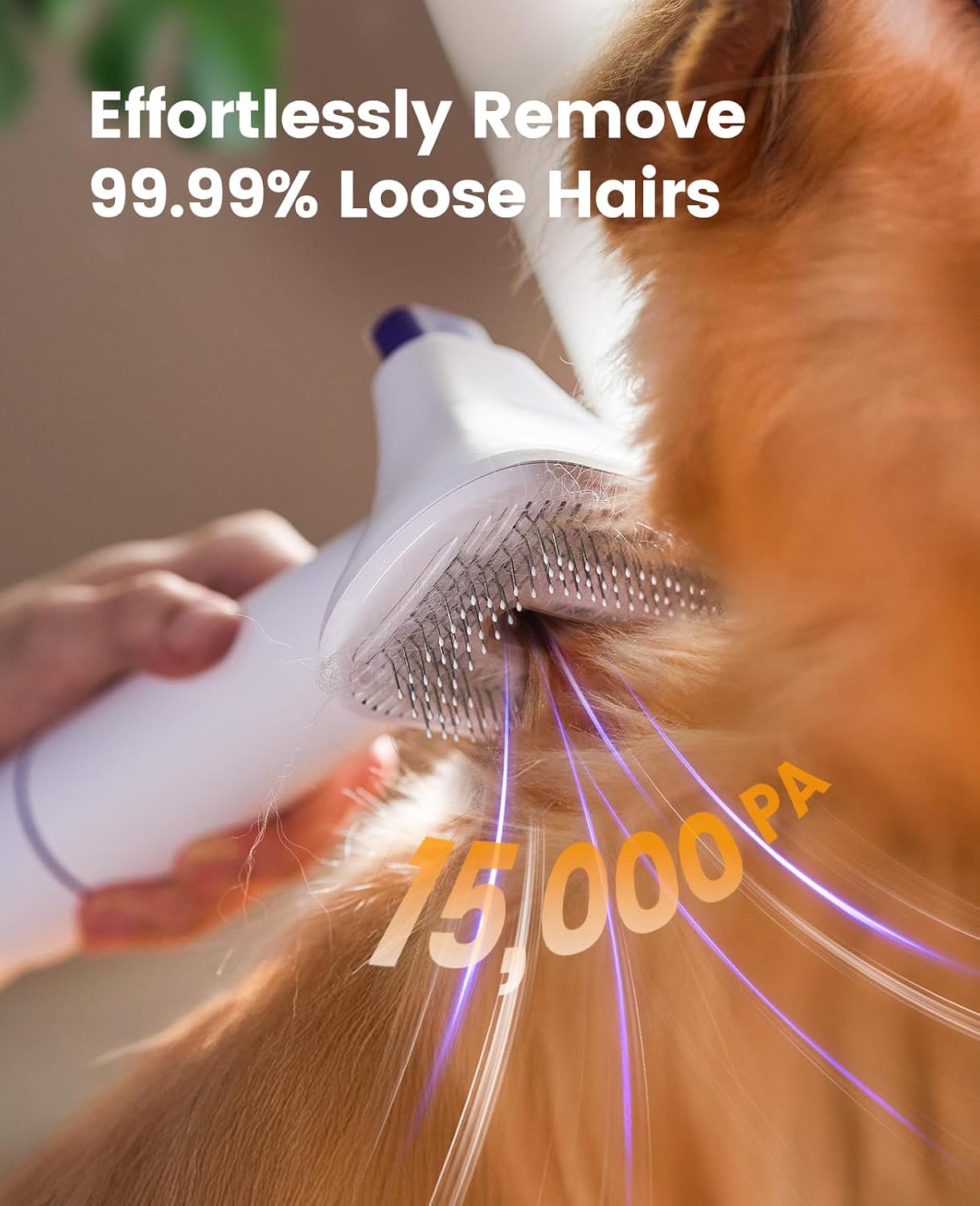 oneisall Hundehaar-Vakuumbürst – Grooming Kit Bewertung und Preis