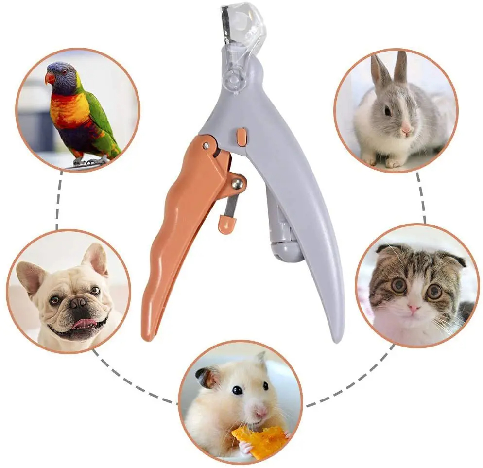 Professionelle Nagelschere für – Grooming Scissors Bewertung und Preis