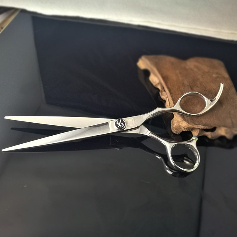 Titan Hochwertige SUS440C Japa – Grooming Scissors Bewertung und Preis